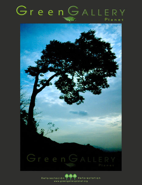 Mi Árbol | N2010009