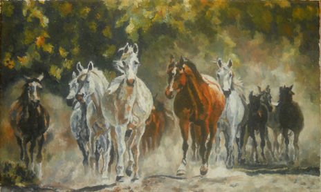 horses