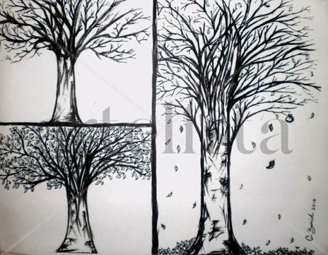El arbol y el tiempo