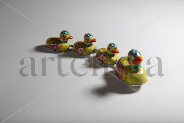 patitos 