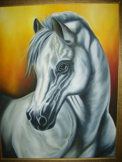 Caballo Blanco Oil Canvas Animals