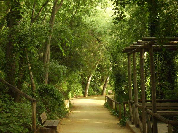 El Verano Naturaleza Color (Química)