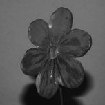 Dibujos thumbnail 2