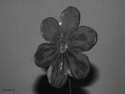 Una flor