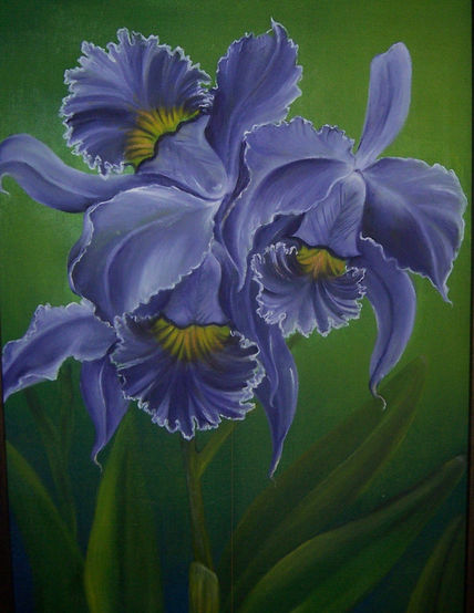 Orquidea Morada