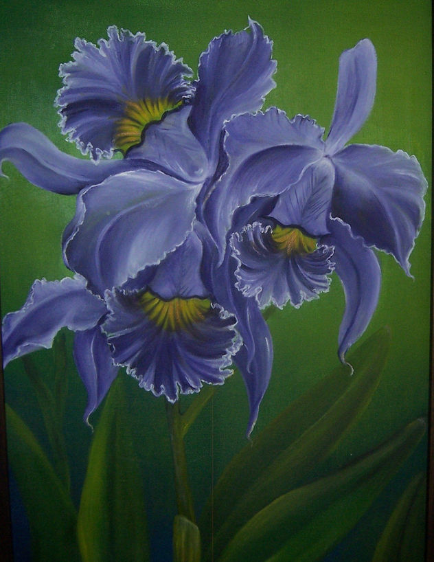 Orquidea Morada