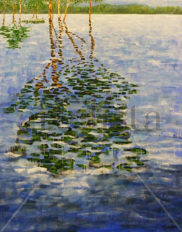 Reflejos del Bosque