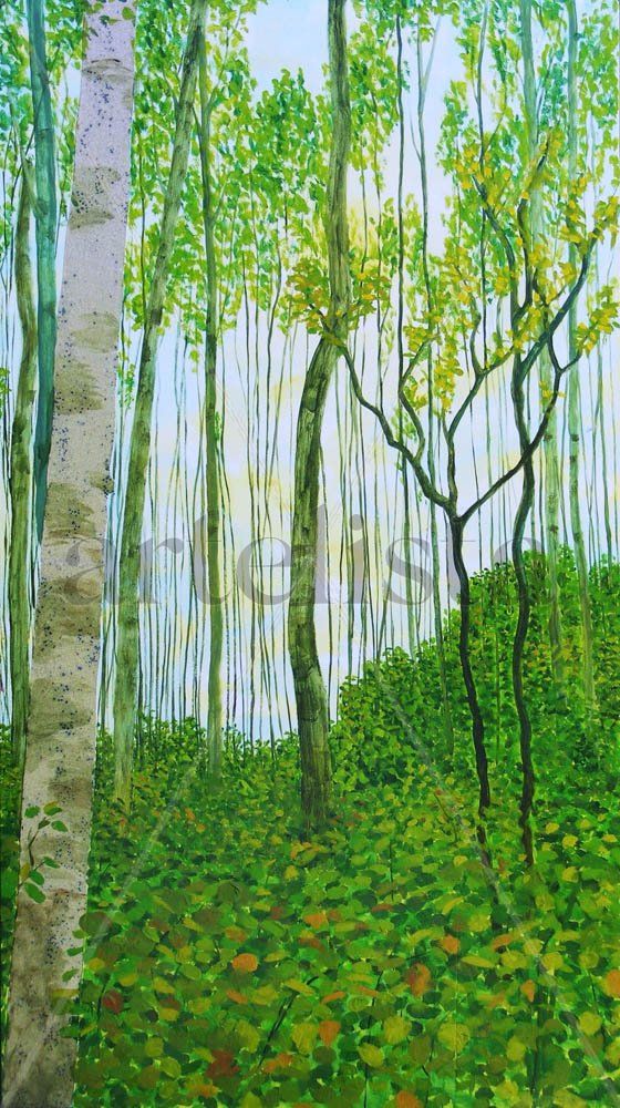 Bosque Verde II