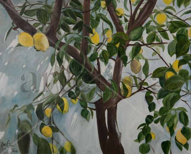 EL LIMONERO Oil Canvas Landscaping