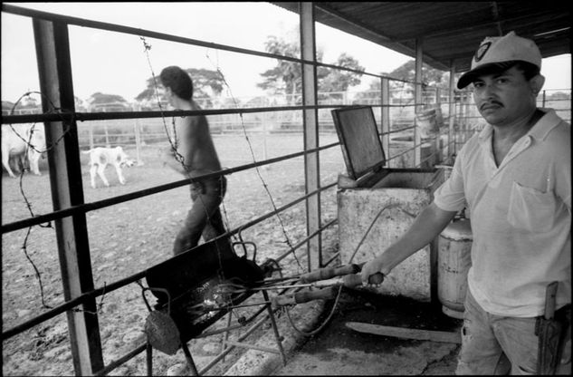 De la serie: Venezuela Cotidiana Photojournalism and Documentary Black and White (Manual)