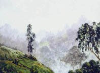 PAISAJE_NIEBLA_EN_LAS_MONTANAS Oil Canvas Landscaping