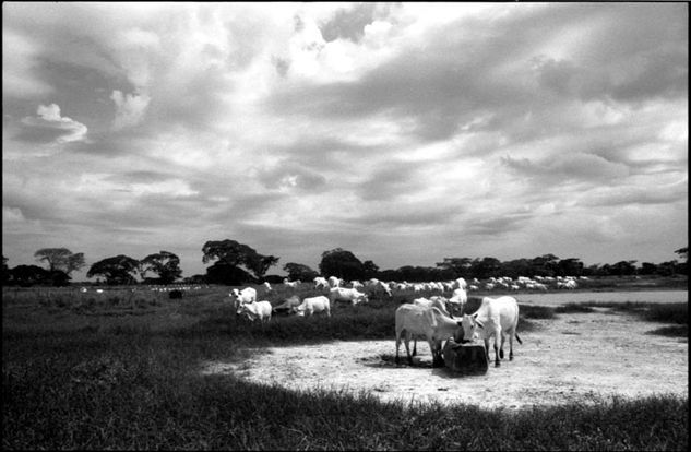 De la serie: Venezuela Cotidiana Fotoperiodismo y documental Blanco y Negro (Química)