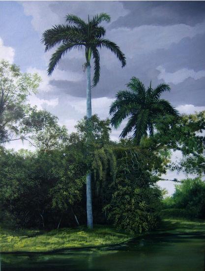 Paisaje cubano 13 