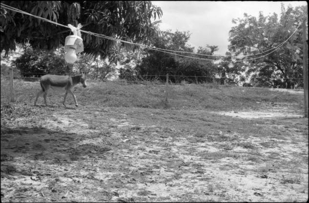 De la serie: Venezuela Cotidiana Photojournalism and Documentary Black and White (Manual)