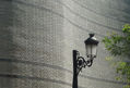 GRIS CON ALGO DE VERDE