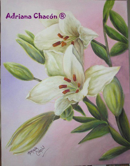 Liliums