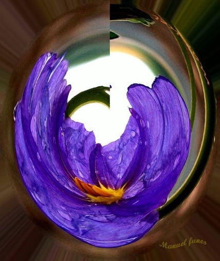 Paz