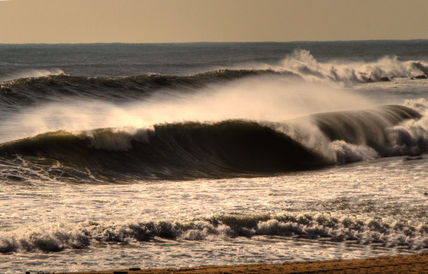 Olas
