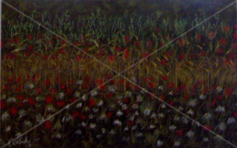 Paisaje