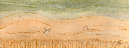 Linos