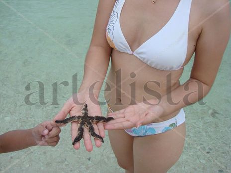 Estrellita de mar