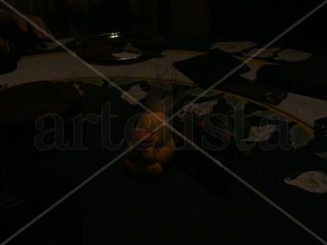 Pato
