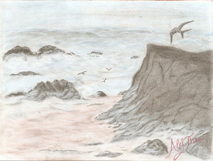 Golondrina de mar