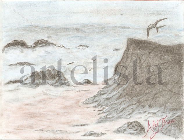 Golondrina de mar Pencil (coloured) Paper Marine Painting