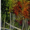 PAISAJE thumbnail 1