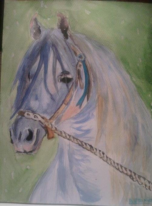 otro caballo español