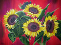 girasoles