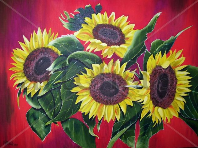 girasoles