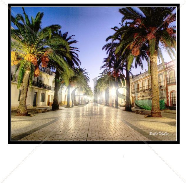 paseo de las palmeras oliva de la frontera