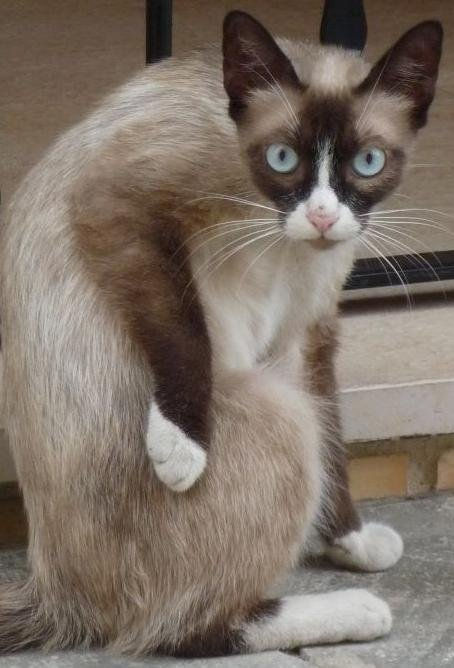 POSANDO