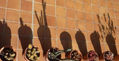 SOMBRAS VEGETALES