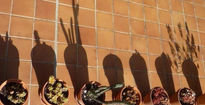 Sombras vegetales