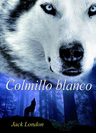 colmillo blanco-caratula 