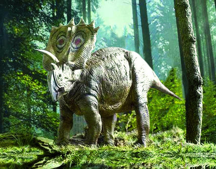 Anchiceratops