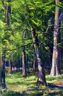 PAISAJE_BOSQUE UMBRIO Oil Canvas Landscaping