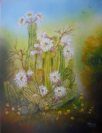 "cactus en flor"