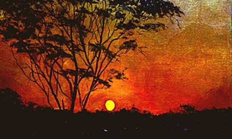 PAISAJE