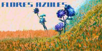 Flores azules 