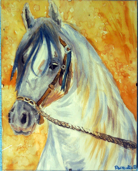 caballo español Watercolour Paper Animals