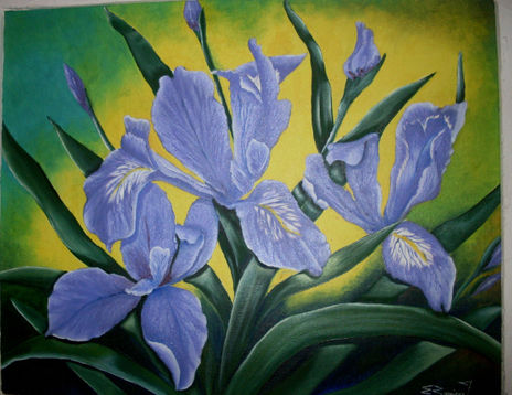 Lirio azul