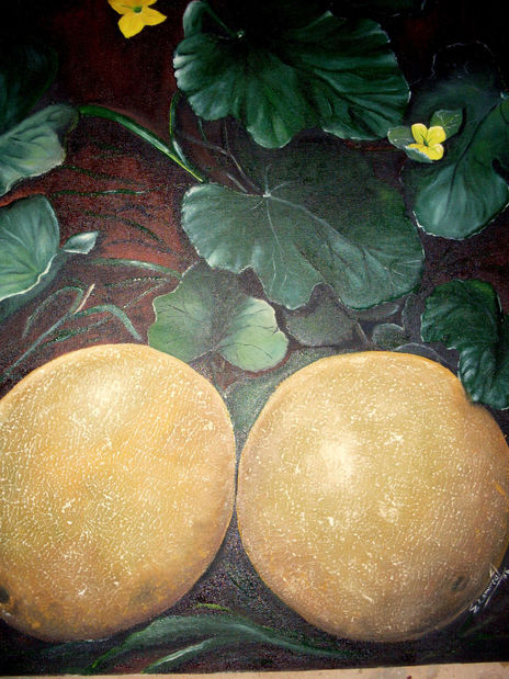 Melon