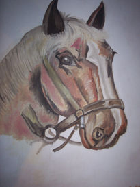 Caballo