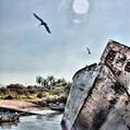 En torno al abandono thumbnail 2