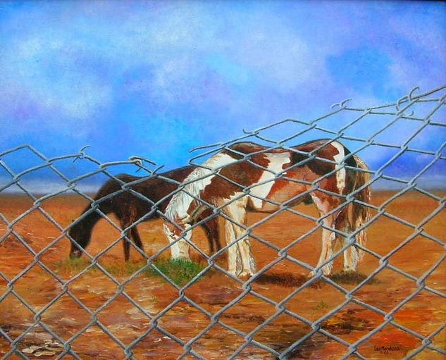 Caballos Oil Canvas Animals