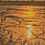 Coleccion llanera thumbnail 1