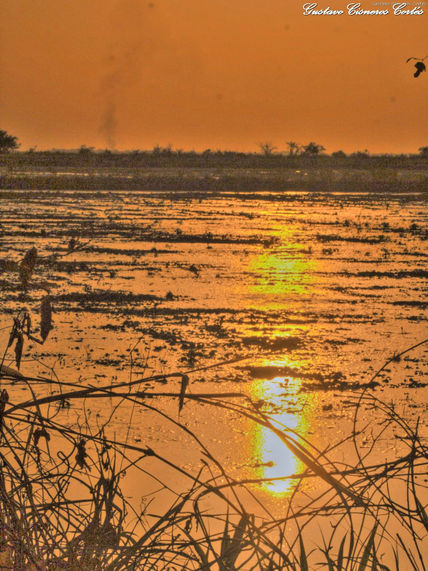 Atardecer LLanero...